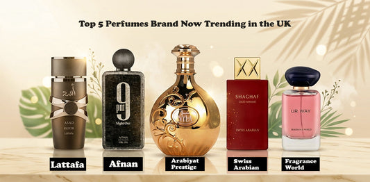 Top 5 Perfumes Brand Now Trending in the UK