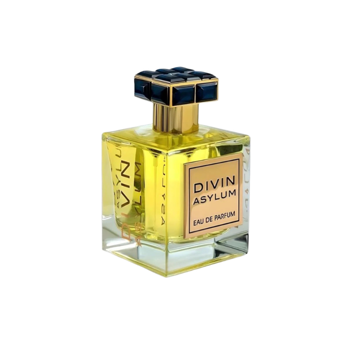 Divin Asylum 100ml EDP by FA Paris (Fragrance World)