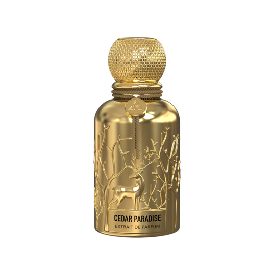 Cedar Paradise 100ml Perfume by Auraa Desire