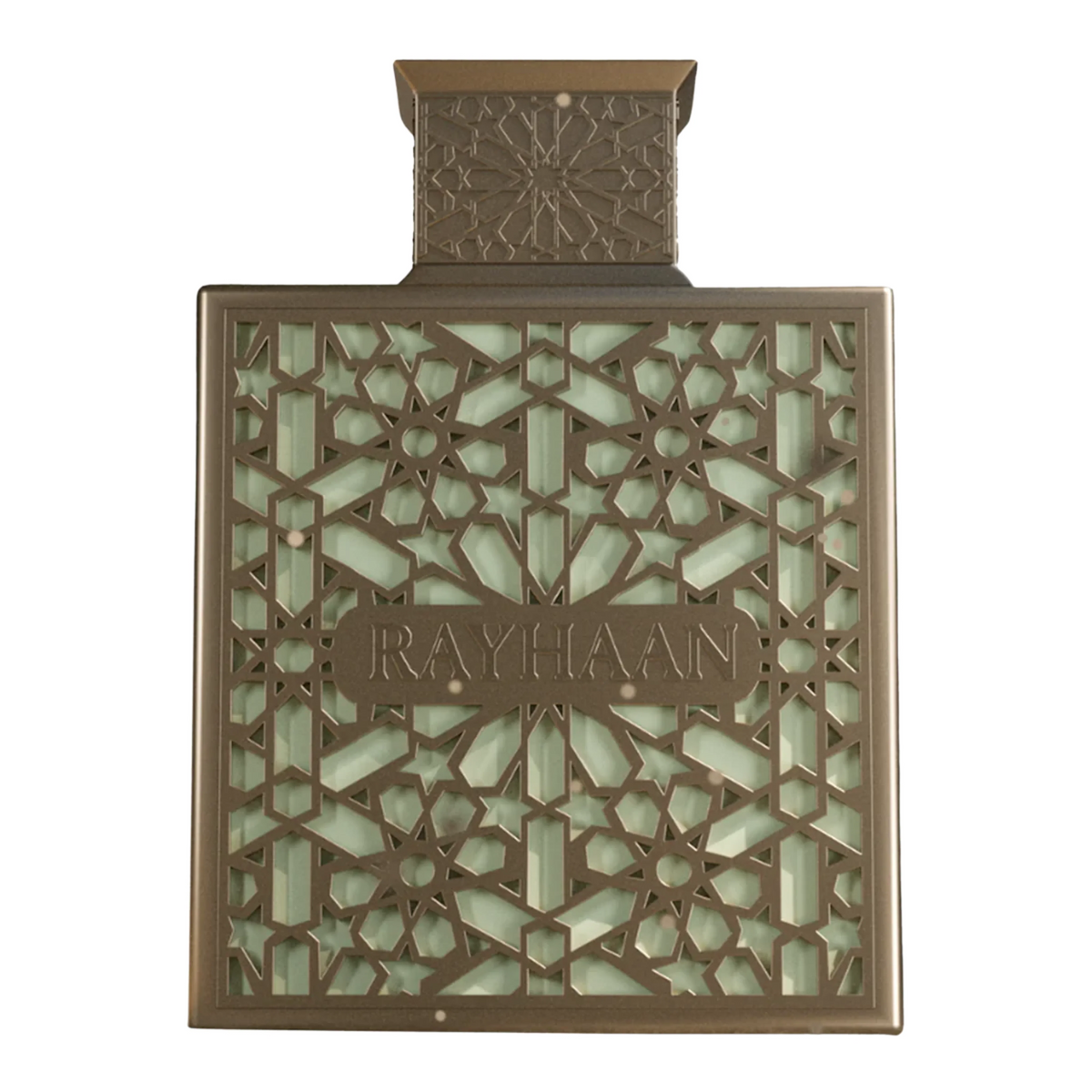 Rayhaan Terra Perfume 100ml EDP by Rayhaan bottle – elegant woody aromatic fragrance with long-lasting performance.