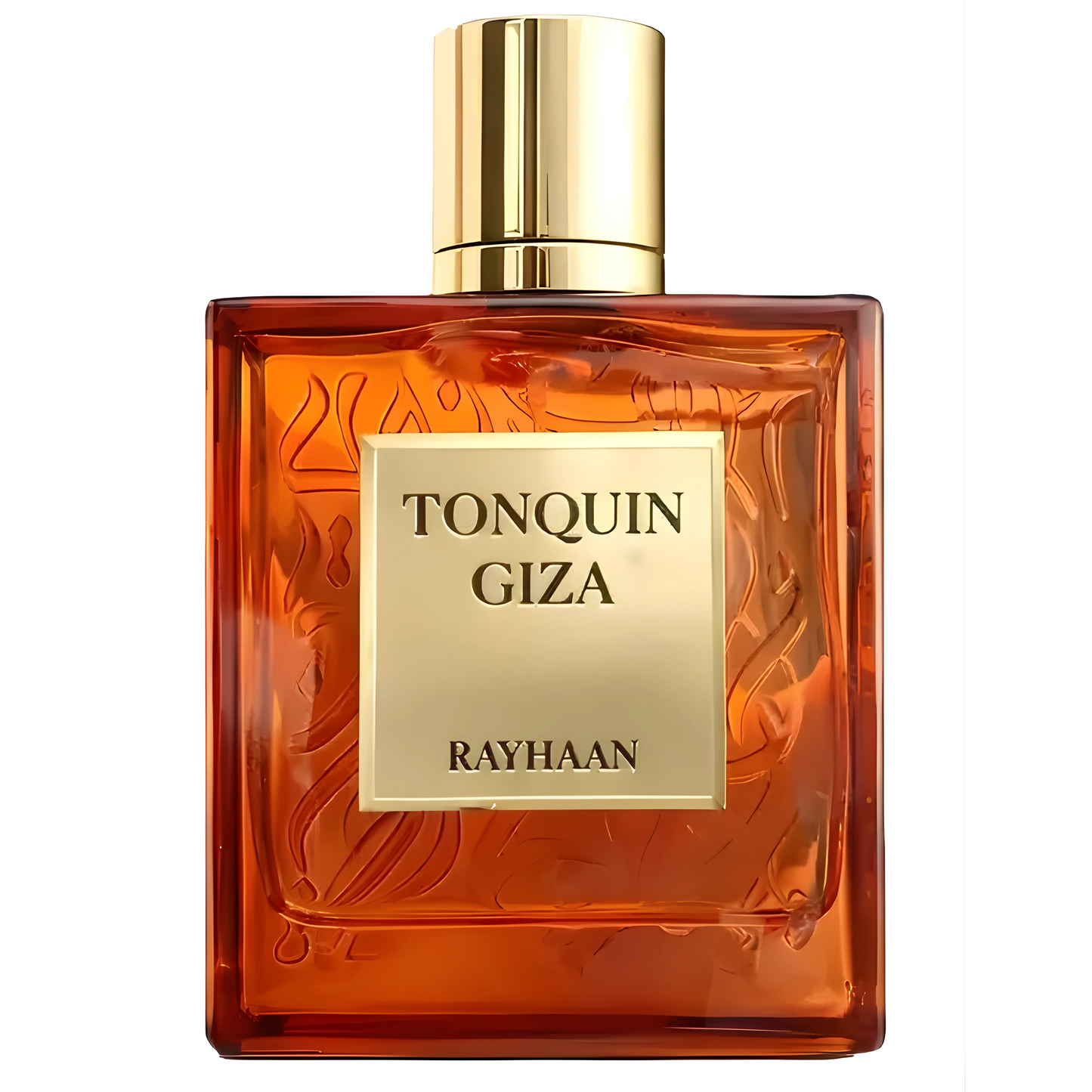 Tonquin Giza Perfume 100ml EDP by Rayhaan Oriental Woody Luxury Fragrance