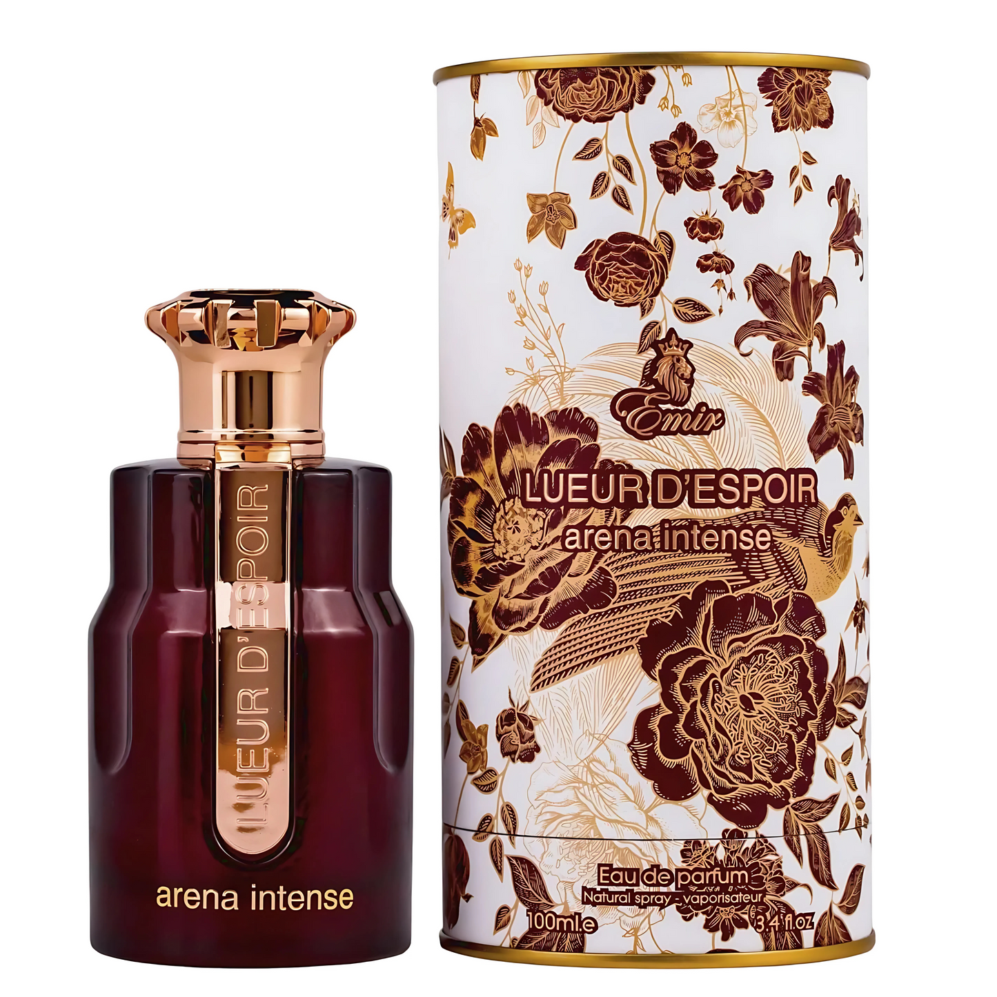 Lueur d'Espoir Arena Intense Perfume 100ml EDP Emir By Paris Corner